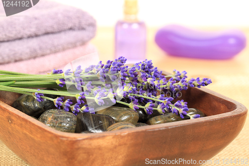 Image of Lavender spa