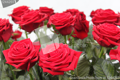 Image of Bouquet of red roses