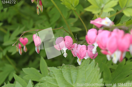 Image of pink hand bell