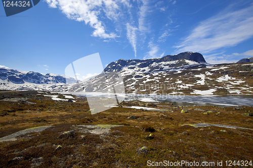 Image of Haukeli in the summer