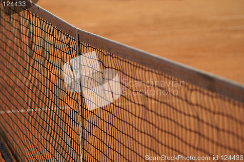 Image of The Net