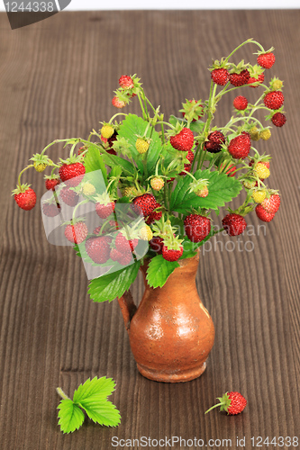 Image of Wild strawberry