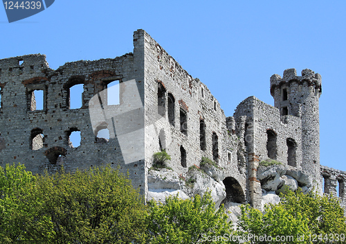 Image of Castle in Poland