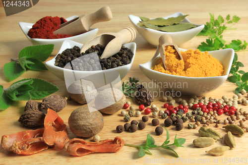 Image of Herbs and spices