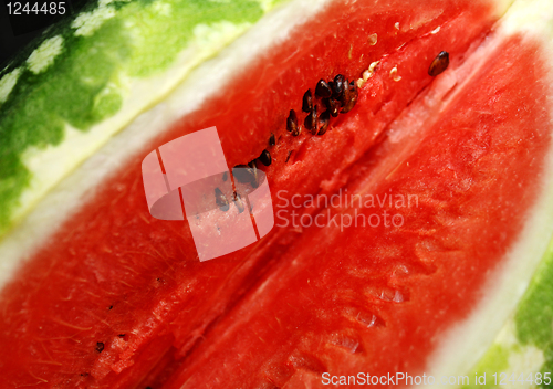 Image of watermelon