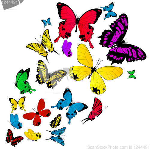 Image of Colored butterflies background