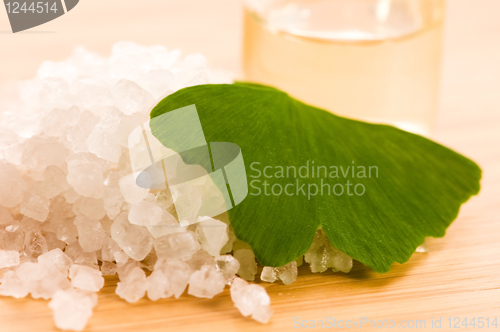 Image of fresh leaves ginko biloba essential oil and sea salt - beauty tr