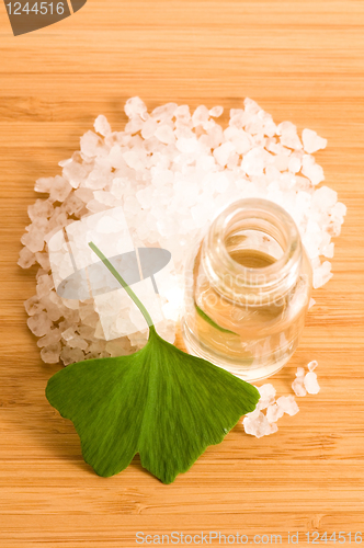 Image of fresh leaves ginko biloba essential oil and sea salt - beauty tr