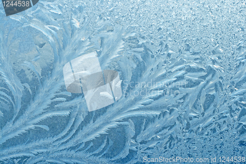 Image of frosty natural pattern