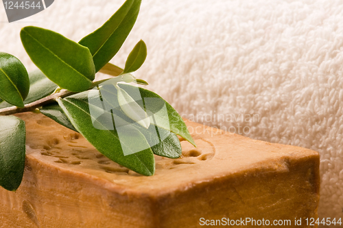 Image of Natural Olive Soap With Fresh Branch