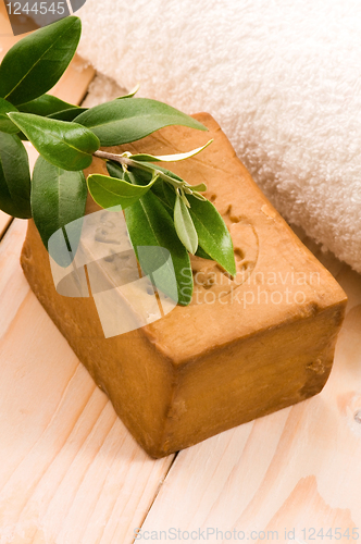 Image of Natural Olive Soap With Fresh Branch