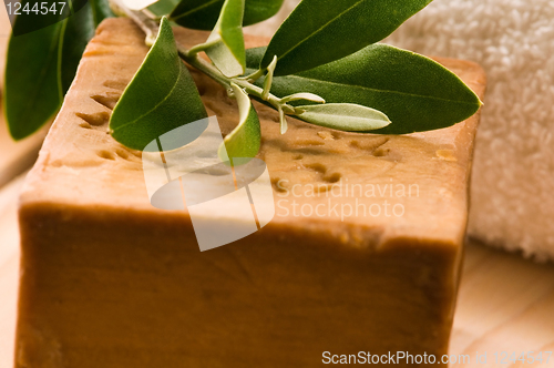 Image of Natural Olive Soap With Fresh Branch