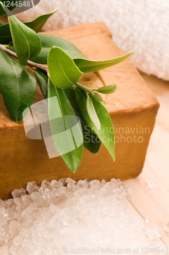 Image of Natural Olive Soap With Fresh Branch