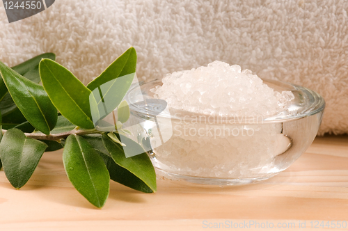 Image of Sea Salt With Fresh Olive Branch. Spa And Wellness 