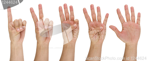 Image of man's finger pointing from one to five