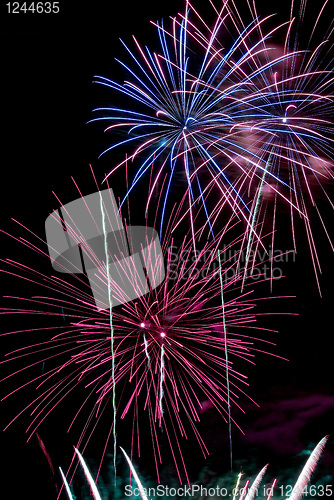 Image of Firework