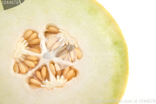Image of Melon