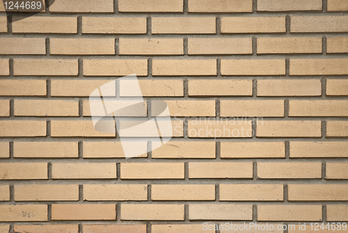 Image of Brick wall