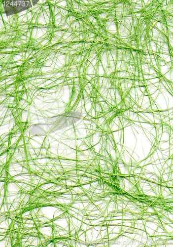 Image of Abstract color straw mesh