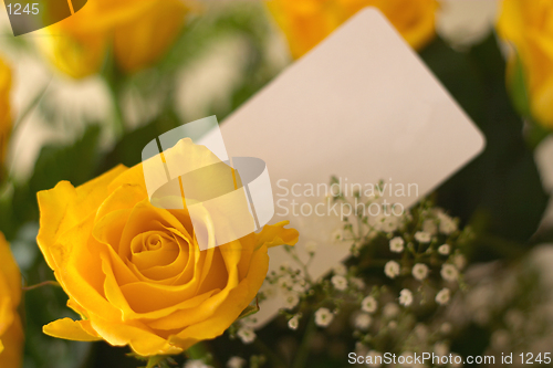 Image of Yellow Roses 6