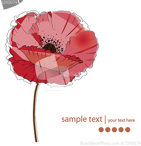 Image of floral background