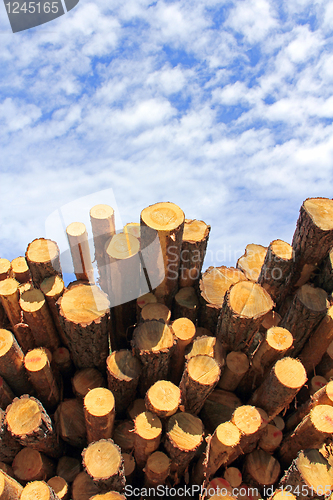 Image of Wood fuel is eco friendly