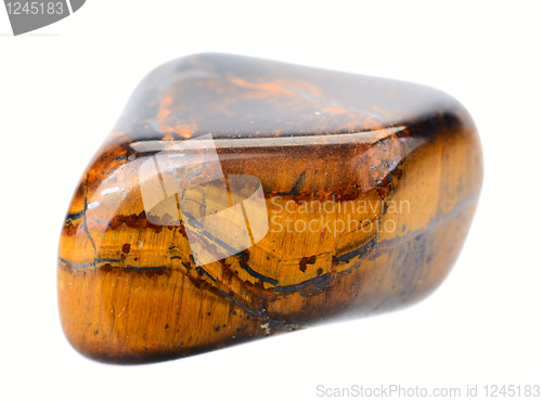 Image of Tiger's eye, isolated.