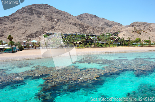 Image of Red sea coast and coral reef 