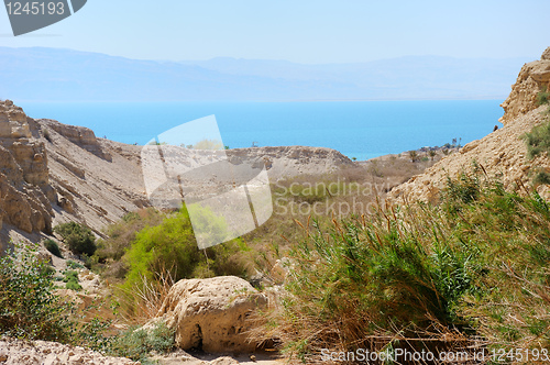 Image of Ein Gedi Nature Reserve