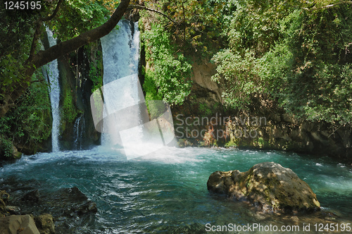 Image of Waterfall in the Banias Nature Reserve