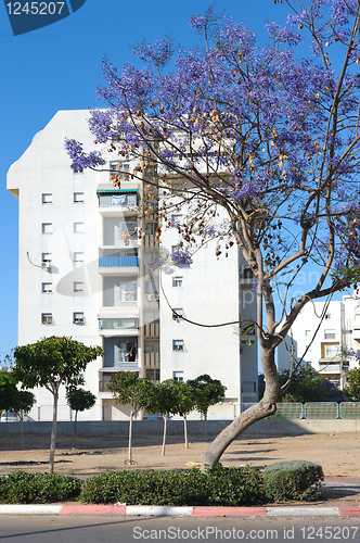 Image of The city of Ashkelon in Israel