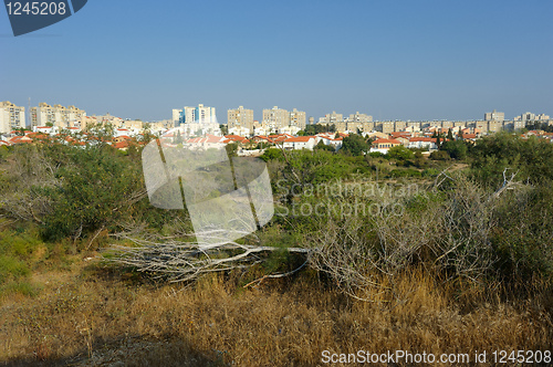 Image of The city of Ashkelon in Israel