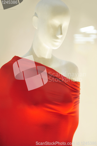 Image of mannequin                 
