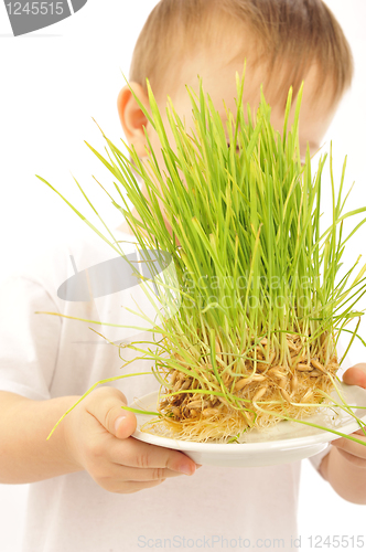 Image of little boy with green grass