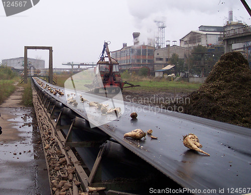 Image of Sugar factory