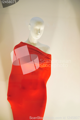 Image of mannequin              