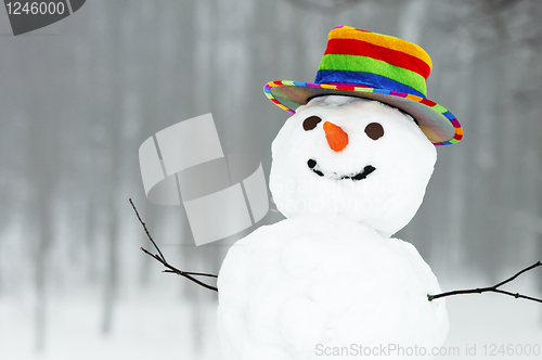 Image of winter funny snowman