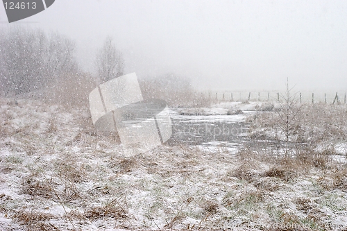 Image of Ruhr valley meadows during snowfall