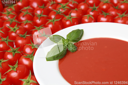 Image of Fresh tomato soup