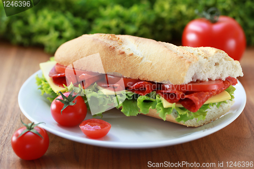 Image of Fresh sub with salami and cheese