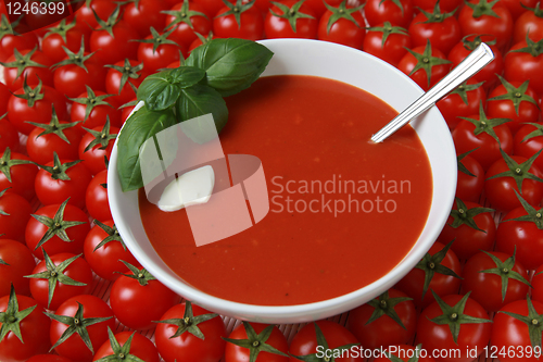 Image of Fresh tomato soup