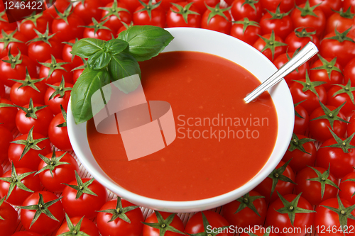Image of Fresh tomato soup