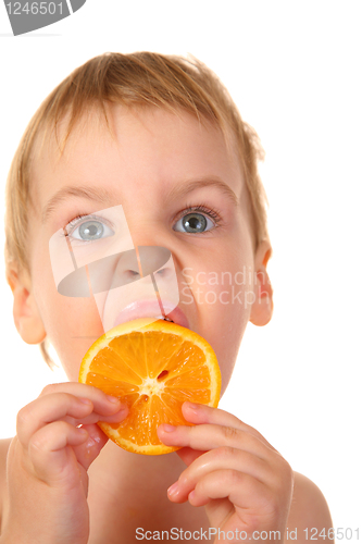 Image of no caption