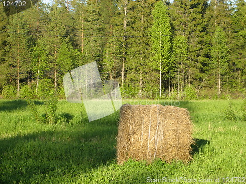 Image of Field