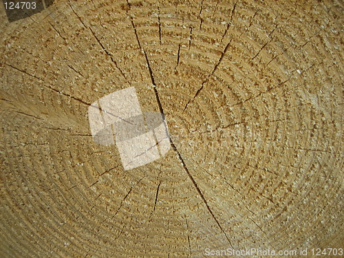 Image of Timber