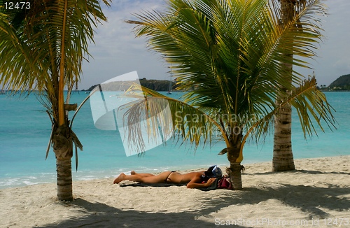 Image of sunbathing