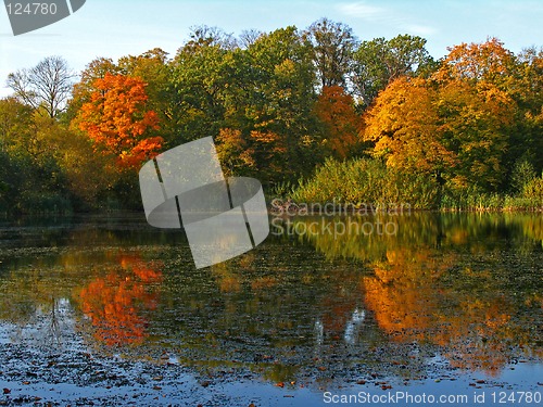 Image of Autumn reflection