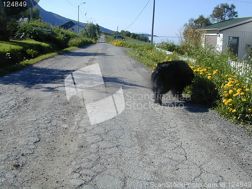 Image of Country Road