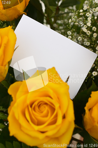 Image of Yellow roses and card 2