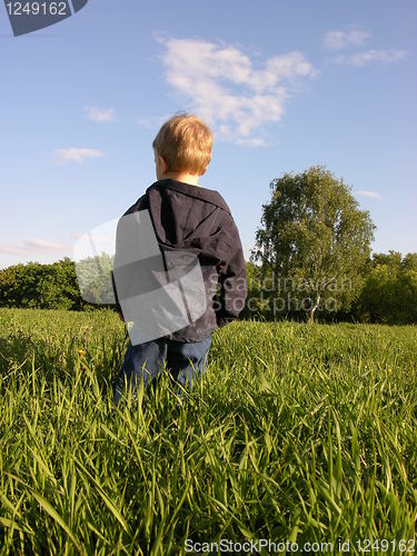 Image of no caption